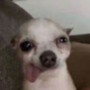 Meet your Posher, Chelly